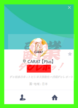 CARAT【Plus】　ラインアカウント　副業 詐欺